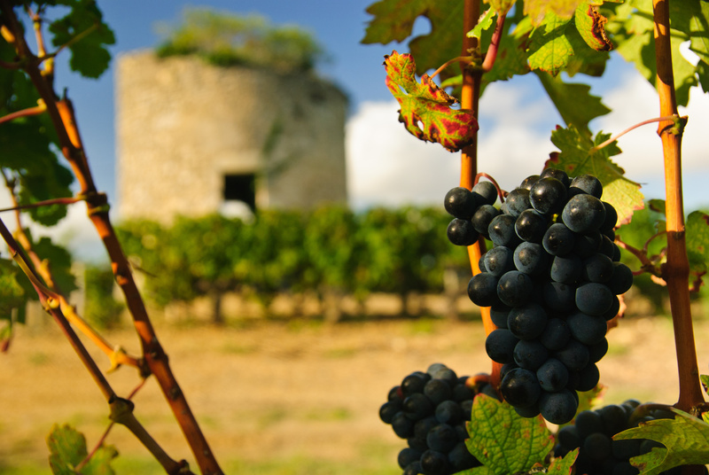 Autre destinations proches du Médoc