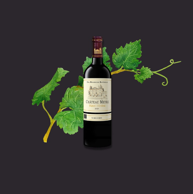 Château Meyre 2020 - Cru bourgeois supérieur - AOC Haut Médoc